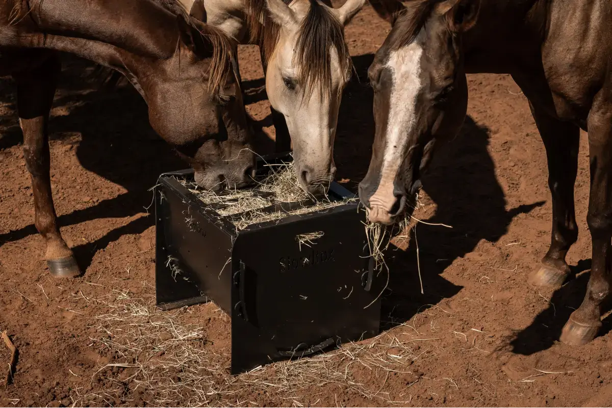 Slowbox - Cocho de feno para alimentação lenta de cavalos